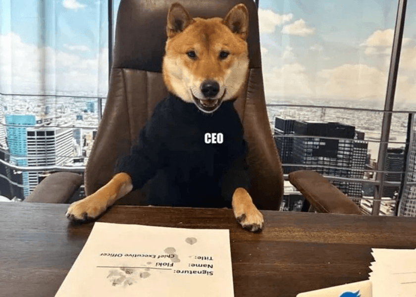 Elon Musk’s Festive Surprise For Pets And Dogecoin Fans