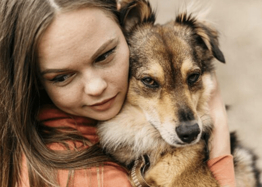 6 Things To Consider While Adopting A Pet In The US