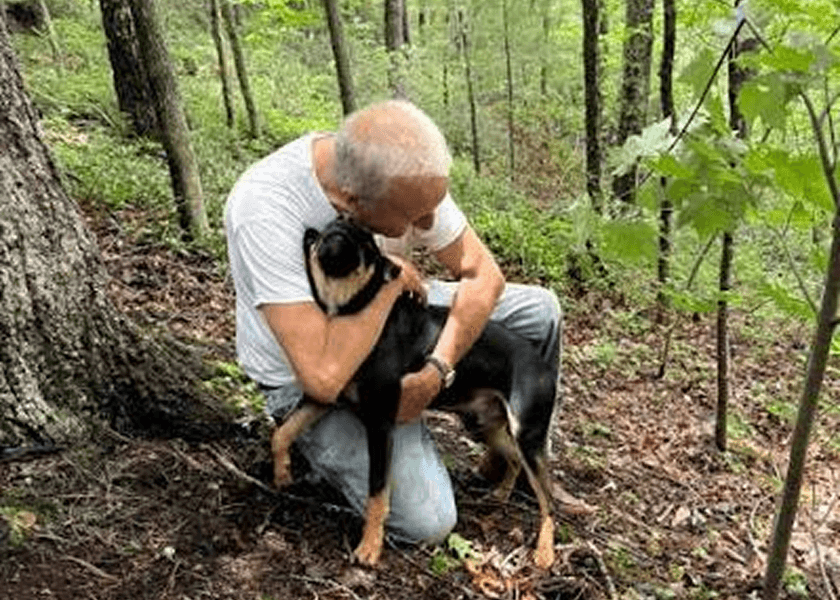 Missing Kentucky Dog Rescued From 65-Foot Cliff After Four Days