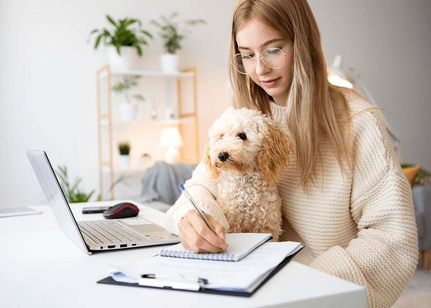 Gurugram and Chennai Pet Rules: What’s New in June 2026