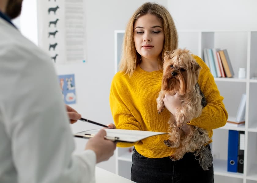 Pet Insurance in India: Is It Worth It? A Detailed Breakdown