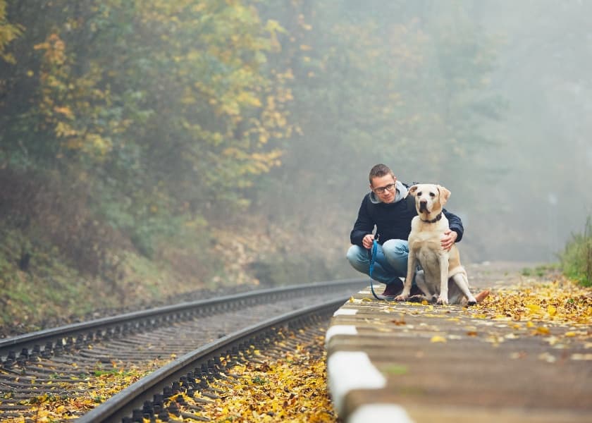 How to Travel with Your Pet by Train or Flight in India