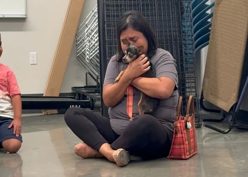 Lost 12 Years, Found by Microchip: Flor Comes Home to Vanessa