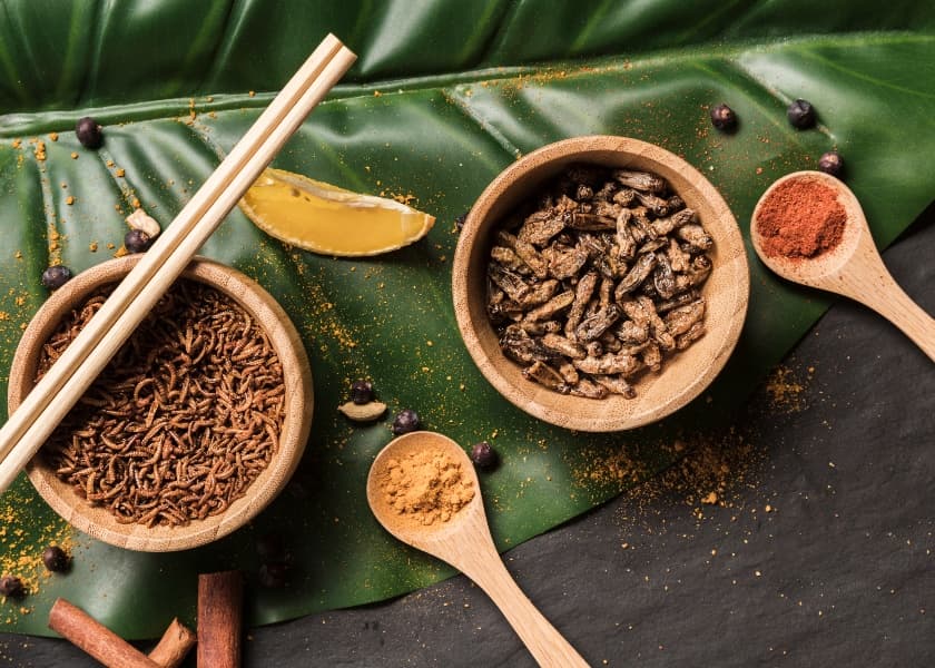 Edible Insects: Why Millions Eat Them Worldwide