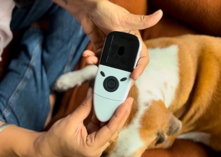 What If You Could Check Your Pet’s Heart Rate at Home? ExamD