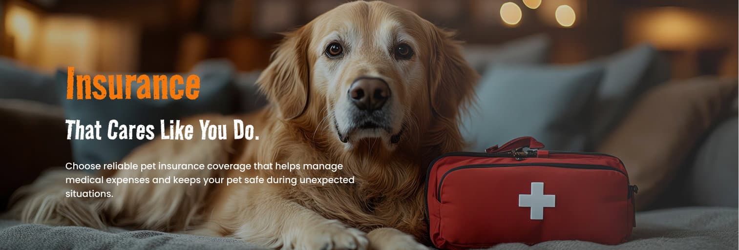 Insurance Banner Image